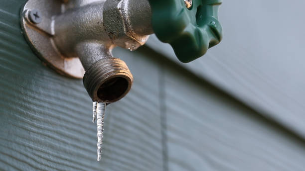 Best Leak Detection Services  in Livonia, LA